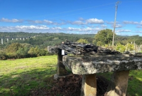 Foto 12