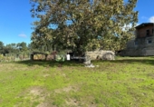 Detached villa with land for sale on España, Parada de Amoeiro, ref: TR309027 photo