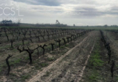 Terreno no urbanizable en venta en la España, Almonte, ref: TR241737 foto
