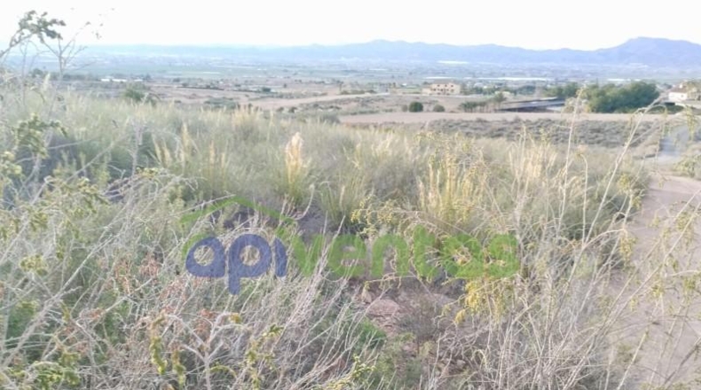 Murcia - Lorca - 5000m2
