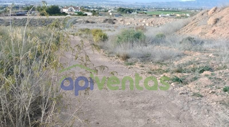 Murcia - Lorca - 5000m2