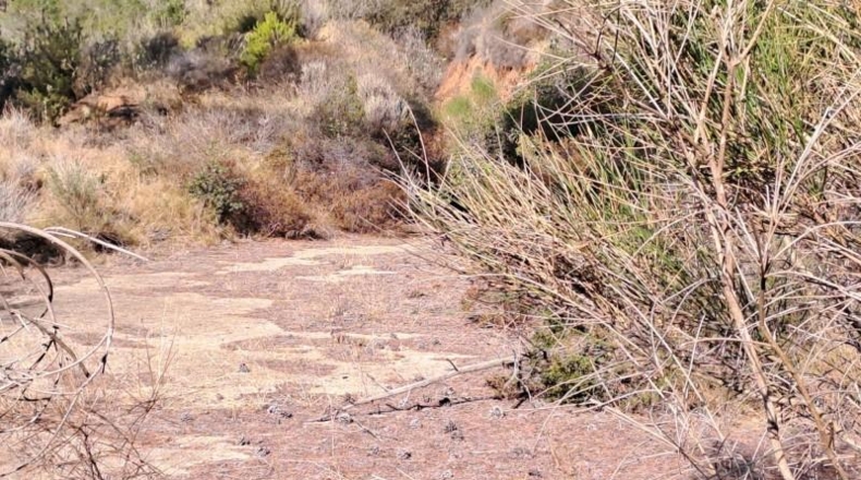 Tarragona - Alforja - 10883m2