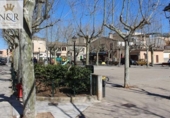 Terreny no urbanitzable en venda a la España, Llubí, ref.: TR315927 foto