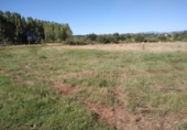 Suelo urbano en venta en la España, Cabañas Raras, ref: TR347323 foto