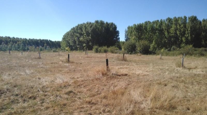 León - Cabañas Raras - 507m2
