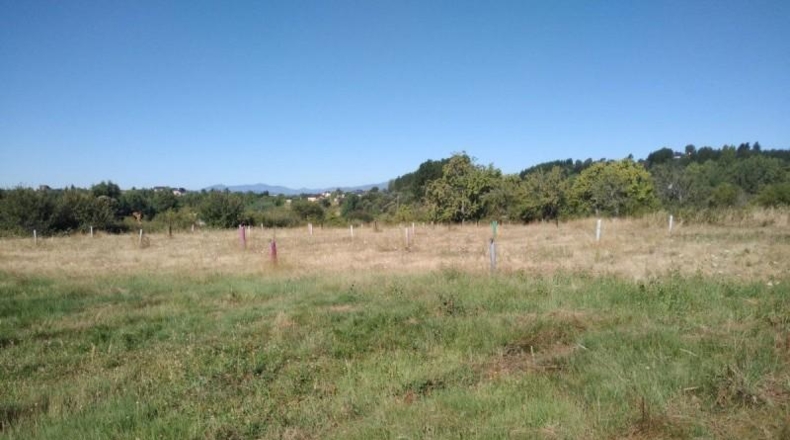 León - Cabañas Raras - 507m2