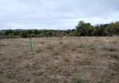 Suelo urbano en venta en la España, Cabañas Raras, ref: TR347323 foto
