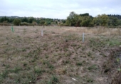Suelo urbano en venta en la España, Cabañas Raras, ref: TR347323 foto