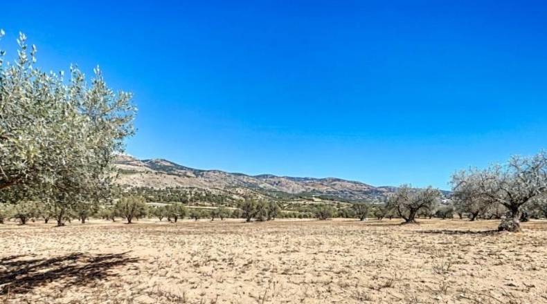 Alicante - Castalla - 7293m2