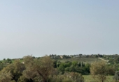 Terreno no urbanizable en venta en la España, Morata de Tajuña, ref: TR218900 foto