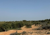 Terreno no urbanizable en venta en la España, Morata de Tajuña, ref: TR218900 foto