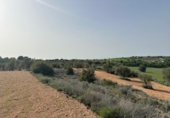 Terreno no urbanizable en venta en la España, Morata de Tajuña, ref: TR218900 foto