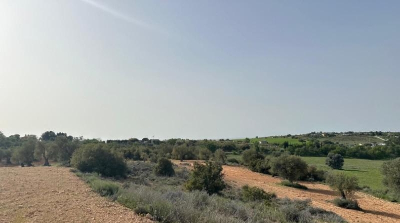 Comunidad de Madrid - Morata de Tajuña - 5866m2