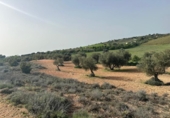 Terreno no urbanizable en venta en la España, Morata de Tajuña, ref: TR218900 foto