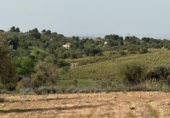 Terreno no urbanizable en venta en la España, Morata de Tajuña, ref: TR218900 foto