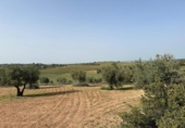 Terreno no urbanizable en venta en la España, Morata de Tajuña, ref: TR218900 foto