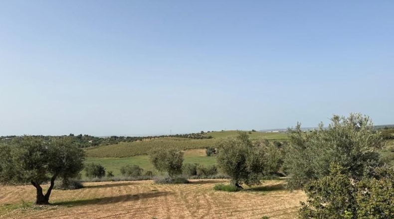 Comunidad de Madrid - Morata de Tajuña - 5866m2