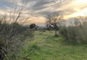 Terreno no urbanizable en venta en la España, Aldea del Cano, ref: TR153755 foto