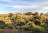 Terreno no urbanizable en venta en la España, Aldea del Cano, ref: TR153755 foto
