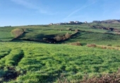 Parcela urbanizable en venta en la España, Oria, ref: TR396782 foto