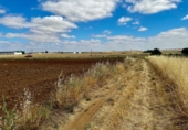 Terreny no urbanitzable en venda a la España, Fuente Obejuna, ref.: TR249708 foto
