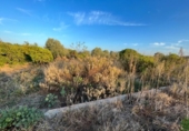 Non-developable land for sale on España, Castelló de la Plana, ref: TR125751 photo