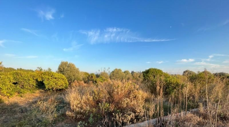 Castellón - Castelló de la Plana - 3013m2