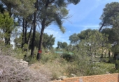 Parcela urbanizable en venta en la España, Cabra del Camp, ref: TR131073 foto