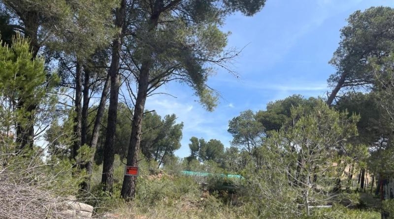 Tarragona - Cabra del Camp - 693m2
