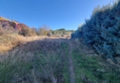 Non-developable land for sale on España, San Mateo de Gállego, ref: TR364328 photo