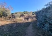 Non-developable land for sale on España, San Mateo de Gállego, ref: TR364328 photo