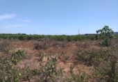 Land suitable for development for sale on España, Montcada, ref: TR245856 photo