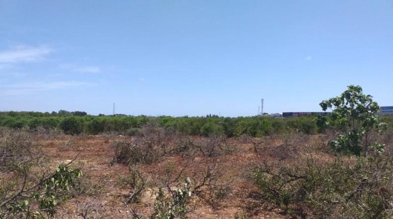 Valencia - Moncada - 5487m2
