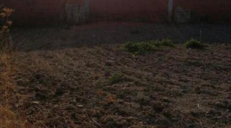 Córdoba - Aguilar de la Frontera - 500m2