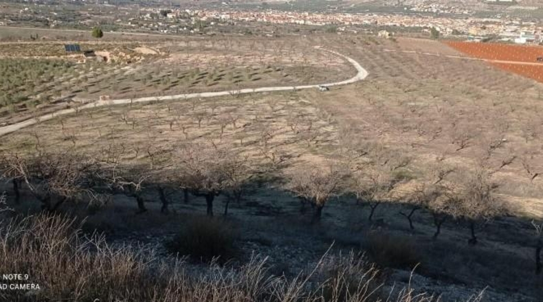 Granada - Dúrcal - 11722m2