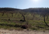 Terreno no urbanizable en venta en la España, Dúrcal, ref: TR410823 foto