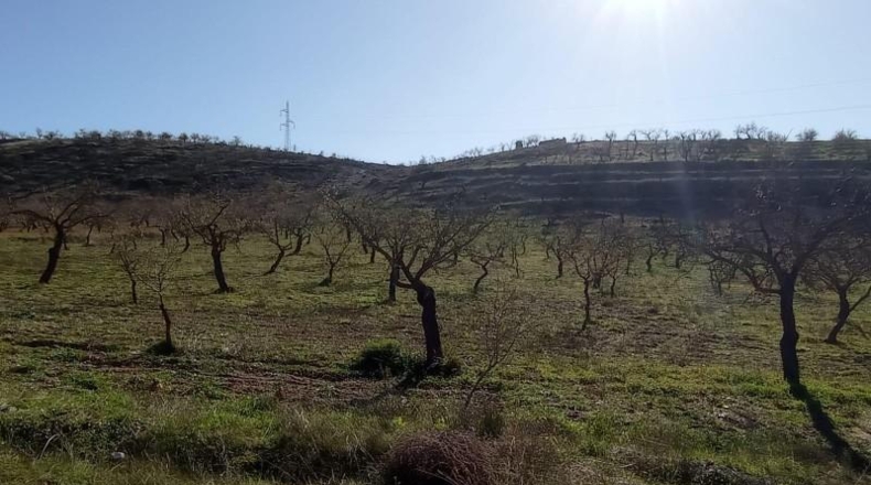 Granada - Dúrcal - 11722m2