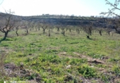 Terreno no urbanizable en venta en la España, Dúrcal, ref: TR410823 foto