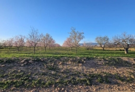Fuente Álamo 6519&nbsp;m²