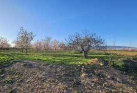 Fuente Álamo 6519&nbsp;m²