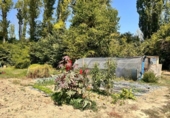 Terreno no urbanizable en venta en la España, Urroz-Villa, ref: TR327974 foto