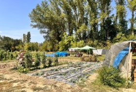 Foto 7