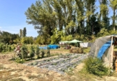 Terreno no urbanizable en venta en la España, Urroz-Villa, ref: TR327974 foto