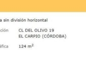 Casa de pueblo en venta en la España, El Carpio, ref: TR299240 foto