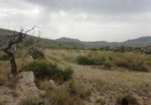Parcela urbanizable en venta en la España, Hondón de los Frailes, ref: TR128673 foto