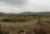 Parcela urbanizable en venta en la España, Hondón de los Frailes, ref: TR128673 foto