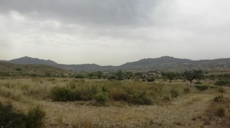 Alicante - Hondón de los Frailes - 7600m2