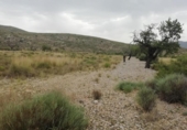 Parcela urbanizable en venta en la España, Hondón de los Frailes, ref: TR128673 foto