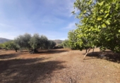 Terreno no urbanizable en venta en la España, Torre de Santa María, ref: TR370542 foto