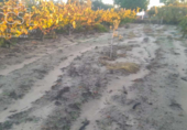 Terreno no urbanizable en venta en la España, Almonte, ref: TR354550 foto